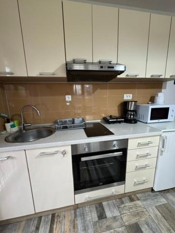 Apartments Paradise Licko Petrovo Selo Dış mekan fotoğraf