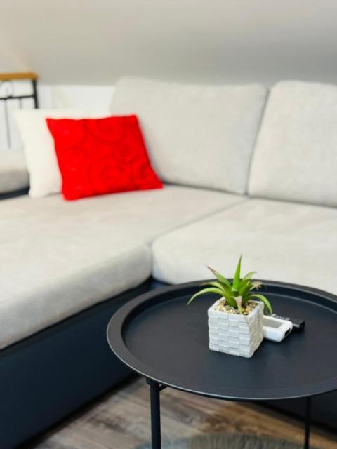 Apartments Paradise Licko Petrovo Selo Dış mekan fotoğraf