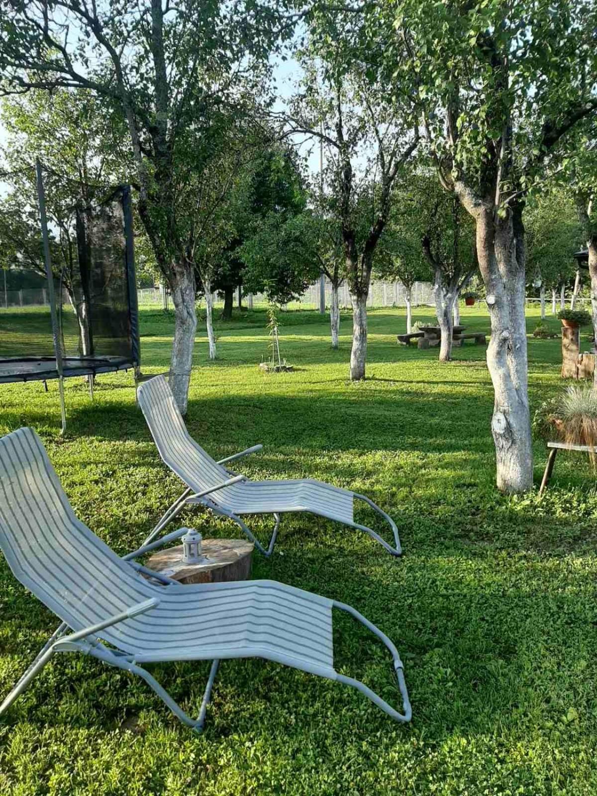 Apartments Paradise Licko Petrovo Selo Dış mekan fotoğraf