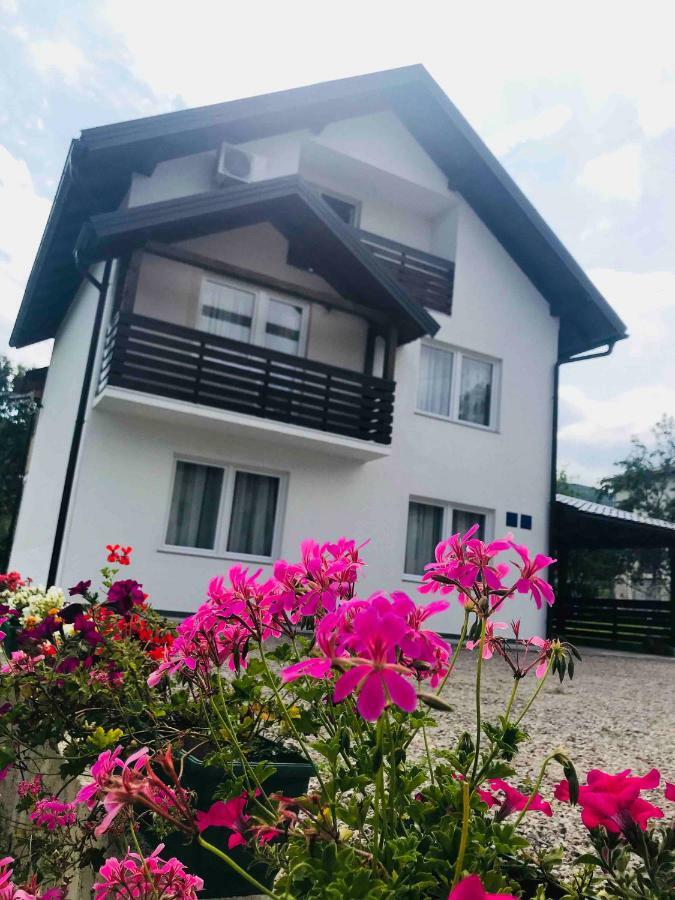 Apartments Paradise Licko Petrovo Selo Dış mekan fotoğraf