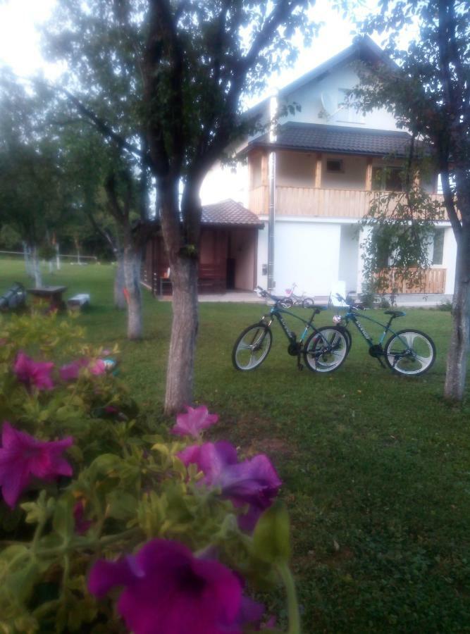 Apartments Paradise Licko Petrovo Selo Dış mekan fotoğraf